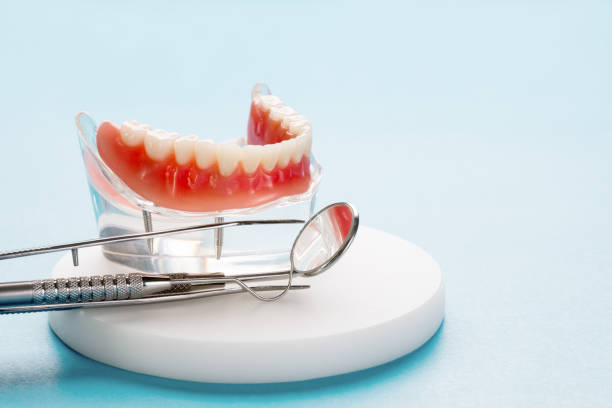 Professional  Holistic Dental Services in Milan, IN